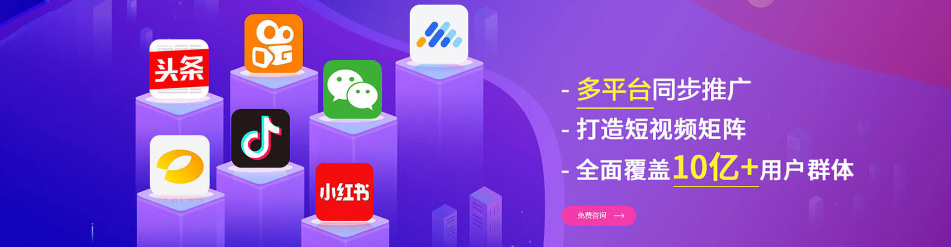 秀山竞价端口开户