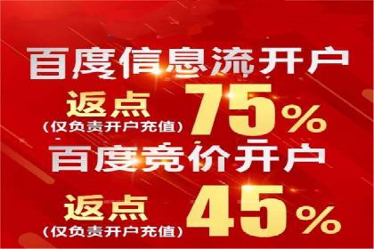 百度竞价广告投放案例剖析